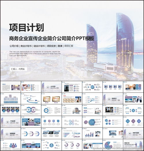 商業(yè)項目計劃書ppt